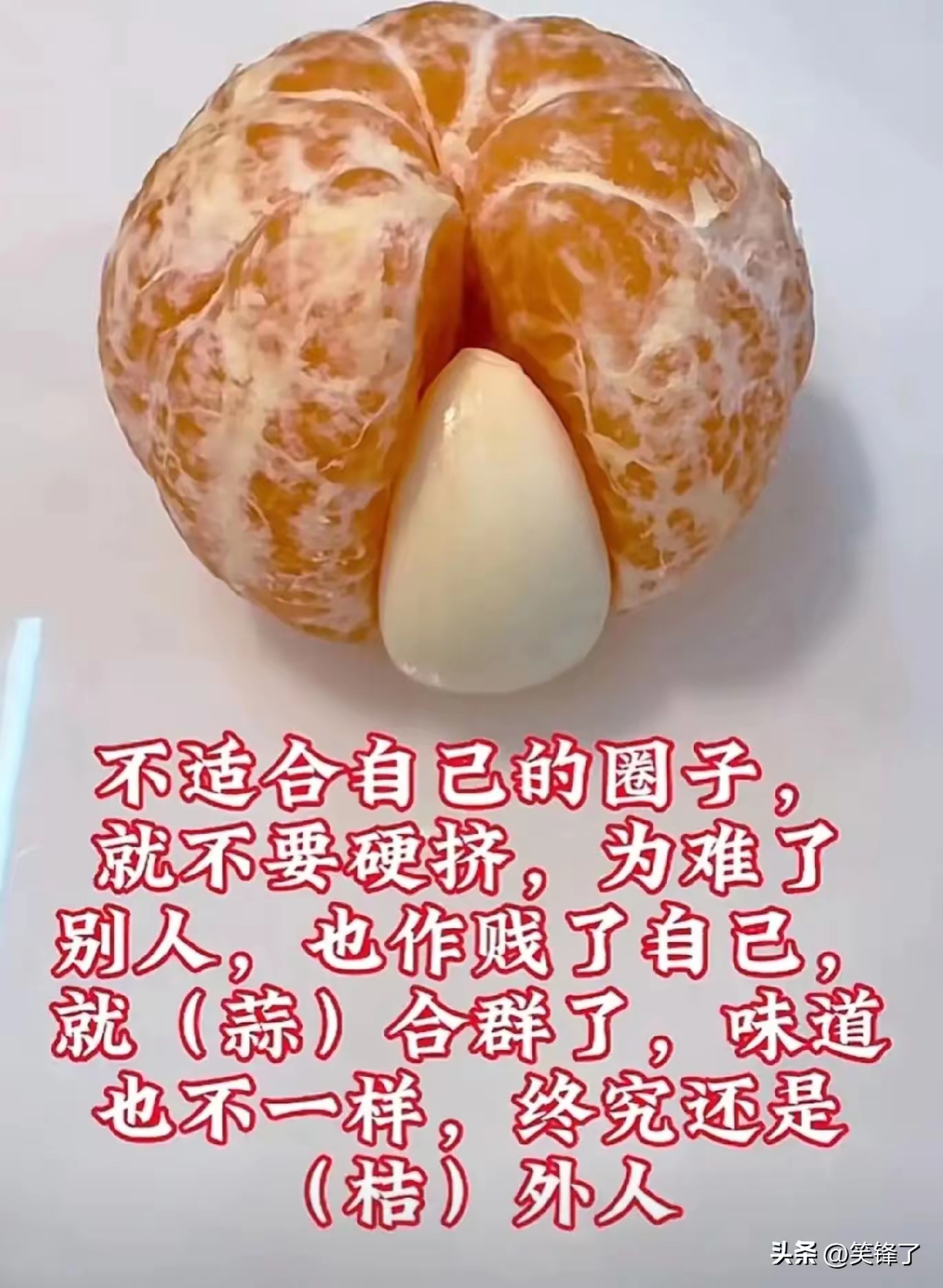趣图